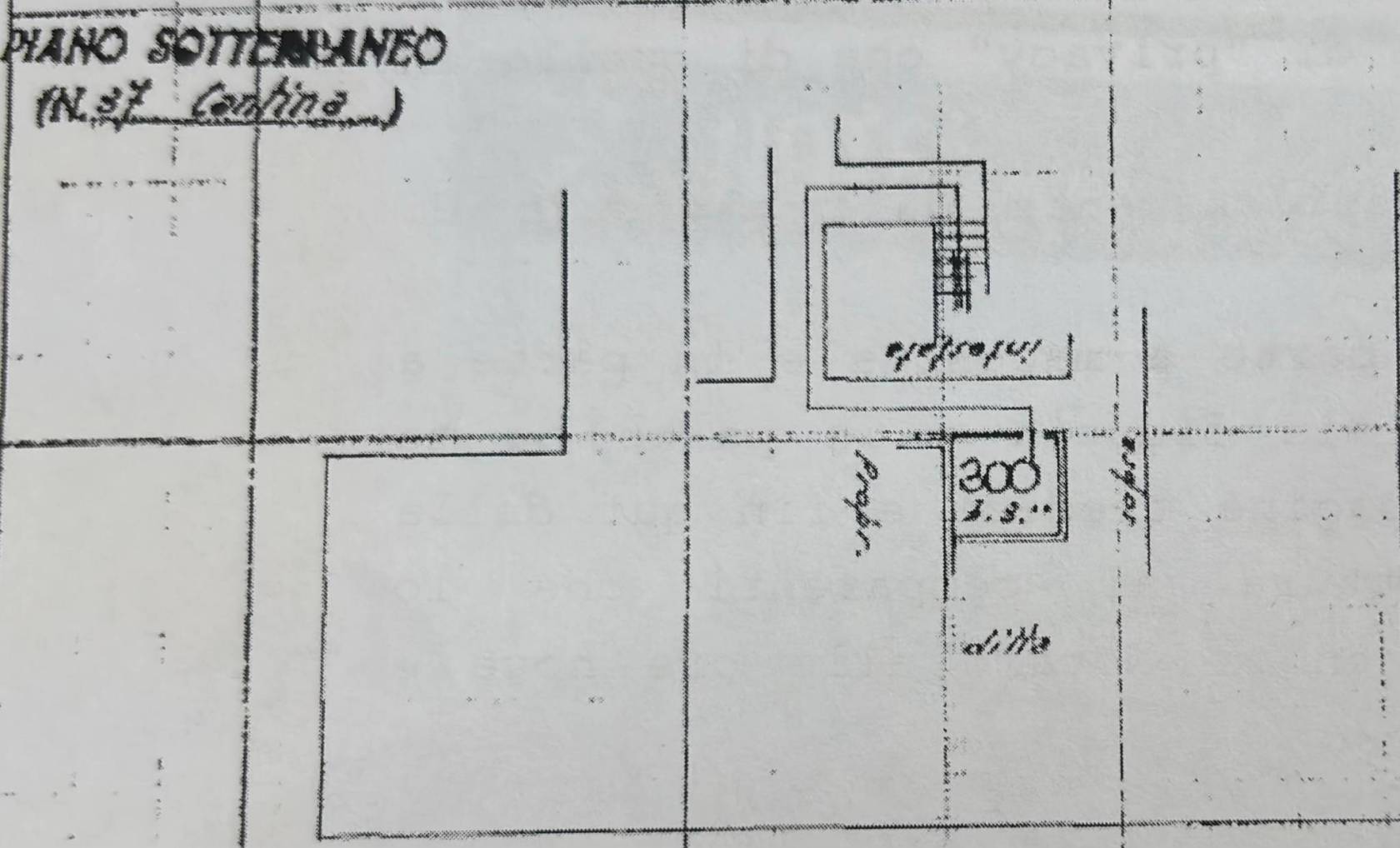 Cantina via Cimabue
